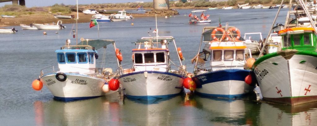 "Pequeñas embarcaciones de pesca tradicionales en el puerto de Tavira"