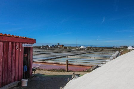 De siempre, la producción de sal ha jugado un papel importante en la economía de la región. Podrás ver de cerca el trabajo de los "marnotos", observar flamencos y ver salicornias (fauna y flora local)