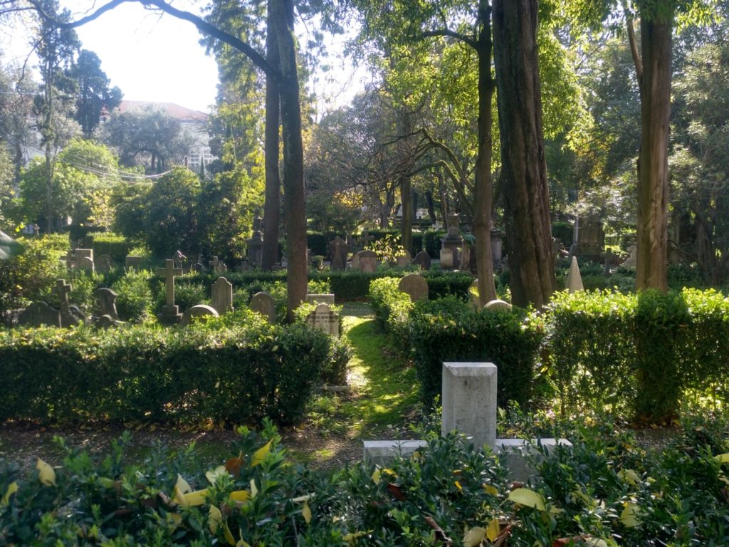 exuberante_vegetacion_tranquilo_cementerio